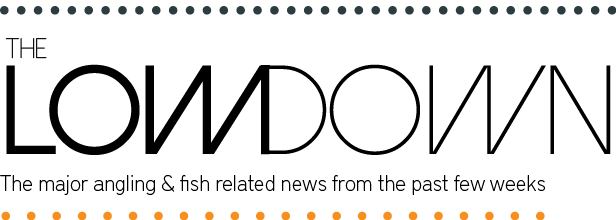 Group