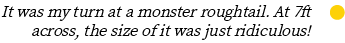 Group