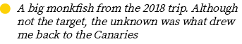 Group