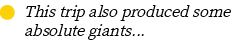 Group
