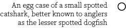 Group