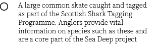 Group