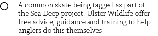 Group