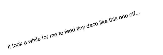   It took a while for me to feed tiny dace like this one off...