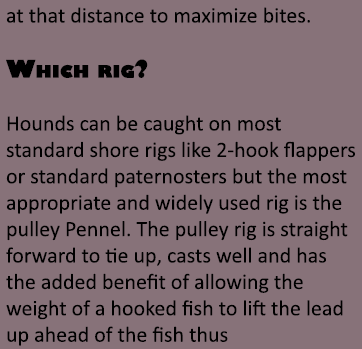 at that distance to maximize bites. Which rig? Hounds can be caught on most standard shore rigs like 2-hook flappers ...