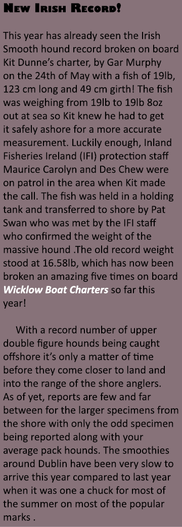 New Irish Record! This year has already seen the Irish Smooth hound record broken on board Kit Dunne’s charter, by Ga...