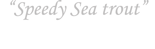 “Speedy Sea trout””  Painted oil on board by Peter Wolstenholme