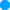 Oval