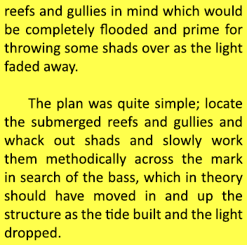 reefs and gullies in mind which would be completely flooded and prime for throwing some shads over as the light faded...