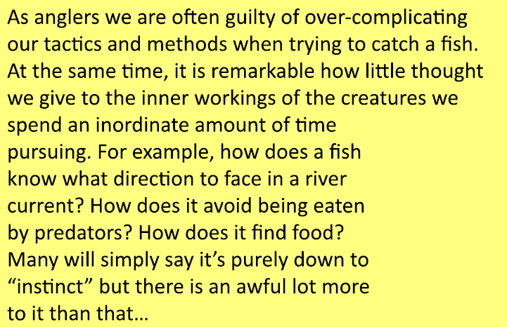 As anglers we are often guilty of over-complicating our tactics and methods when trying to catch a fish. At the same ...