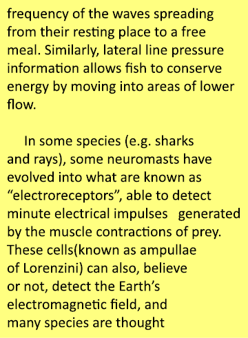 frequency of the waves spreading from their resting place to a free meal. Similarly, lateral line pressure informatio...