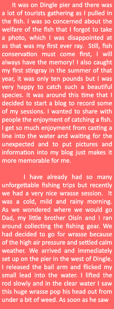    It was on Dingle pier and there was a lot of tourists gathering as I pulled in the fish. I was so concerned about ...