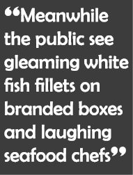 “Meanwhile the public see gleaming white fish fillets on branded boxes and laughing seafood chefs”
