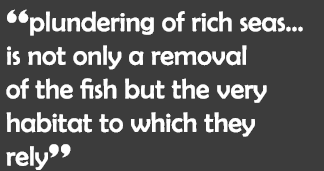 “plundering of rich seas... is not only a removal of the fish but the very habitat to which they rely”