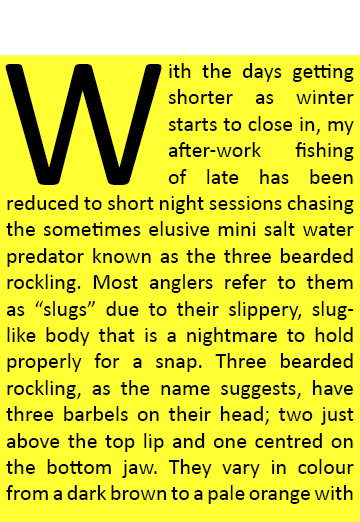 With the days getting shorter as winter starts to close in, my after-work fishing of late has been reduced to short n...