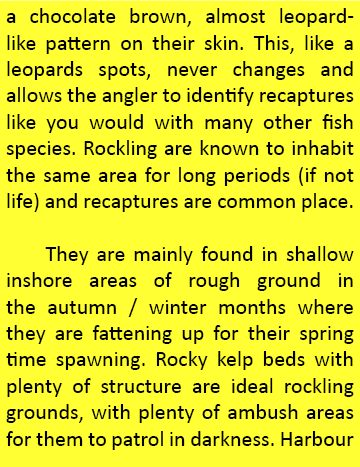 a chocolate brown, almost leopard-like pattern on their skin. This, like a leopards spots, never changes and allows t...