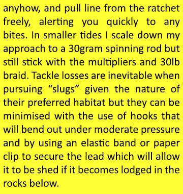 anyhow, and pull line from the ratchet freely, alerting you quickly to any bites. In smaller tides I scale down my ap...