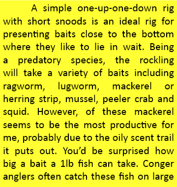    A simple one-up-one-down rig with short snoods is an ideal rig for presenting baits close to the bottom where they...