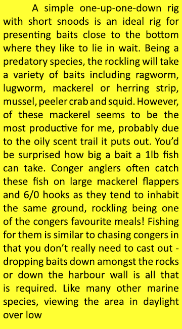    A simple one-up-one-down rig with short snoods is an ideal rig for presenting baits close to the bottom where they...