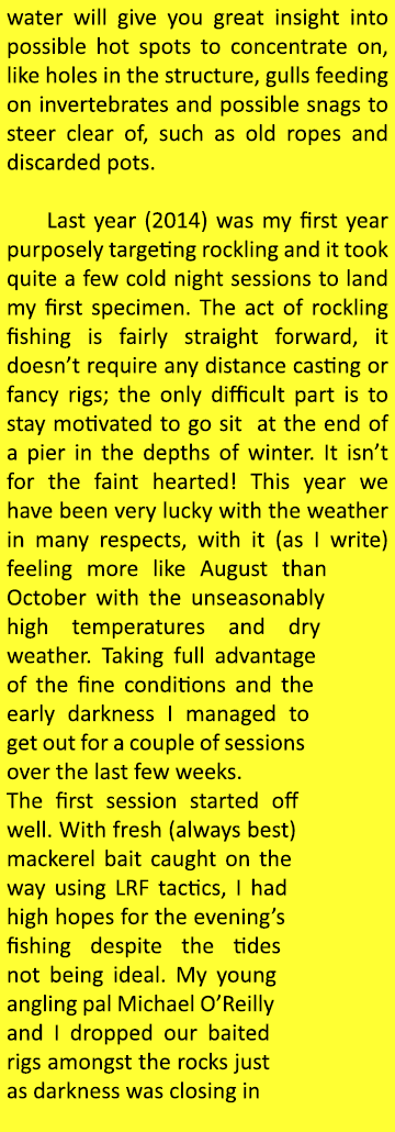 water will give you great insight into possible hot spots to concentrate on, like holes in the structure, gulls feedi...