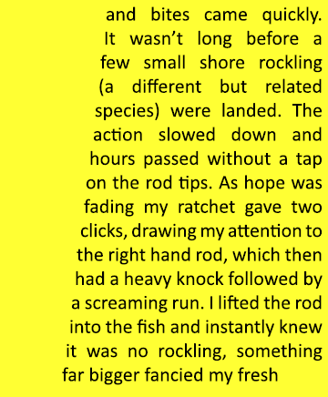 and bites came quickly. It wasn’t long before a few small shore rockling (a different but related species) were lande...