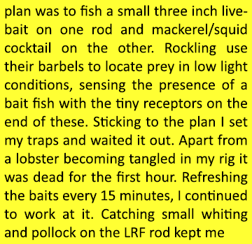 plan was to fish a small three inch live-bait on one rod and mackerel/squid cocktail on the other. Rockling use their...