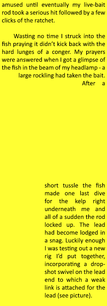 amused until eventually my live-bait rod took a serious hit followed by a few clicks of the ratchet.    Wasting no ti...