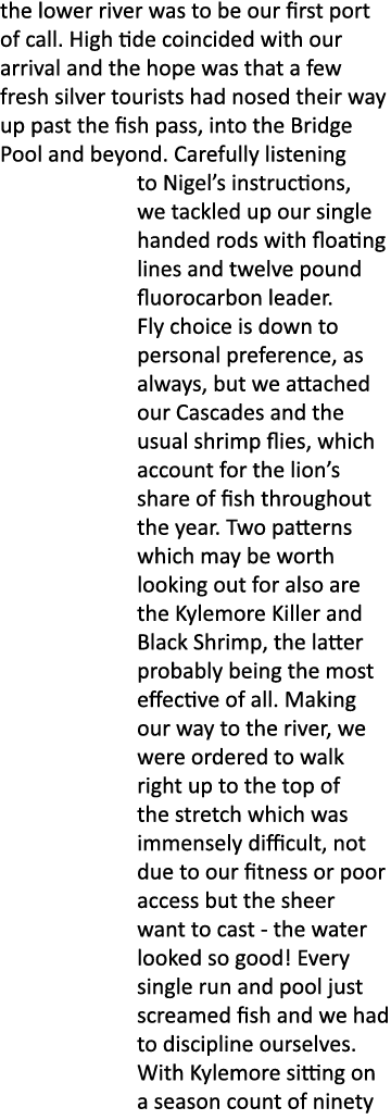 the lower river was to be our first port of call. High tide coincided with our arrival and the hope was that a few fr...