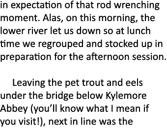 in expectation of that rod wrenching moment. Alas, on this morning, the lower river let us down so at lunch time we r...