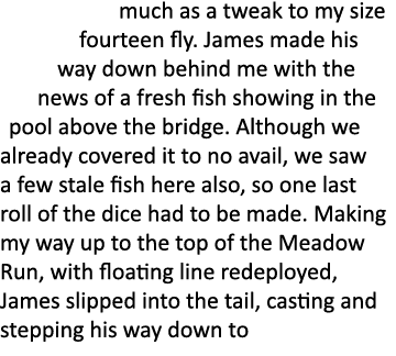 much as a tweak to my size fourteen fly. James made his way down behind me with the news of a fresh fish showing in t...