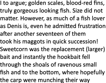 I to argue; golden scales, blood-red fins, truly gorgeous looking fish. Size did not matter. However, as much of a fi...
