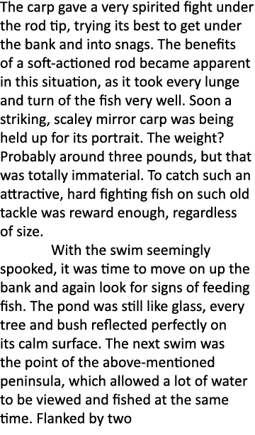 The carp gave a very spirited fight under the rod tip, trying its best to get under the bank and into snags. The bene...