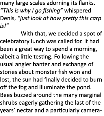 many large scales adorning its flanks. “This is why I go fishing” whispered Denis, “just look at how pretty this carp...