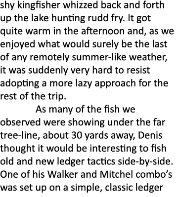 shy kingfisher whizzed back and forth up the lake hunting rudd fry. It got quite warm in the afternoon and, as we enj...