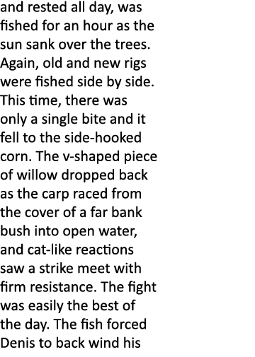 and rested all day, was fished for an hour as the sun sank over the trees. Again, old and new rigs were fished side b...