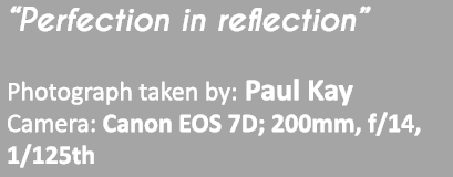 “Perfection in reflection” Photograph taken by: Paul Kay Camera: Canon EOS 7D; 200mm, f/14, 1/125th 