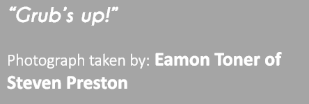 “Grub’s up!” Photograph taken by: Eamon Toner of Steven Preston 