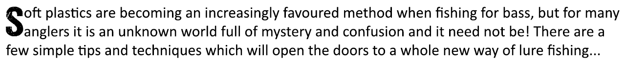 Soft plastics are becoming an increasingly favoured method when fishing for bass, but for many anglers it is an unkno...