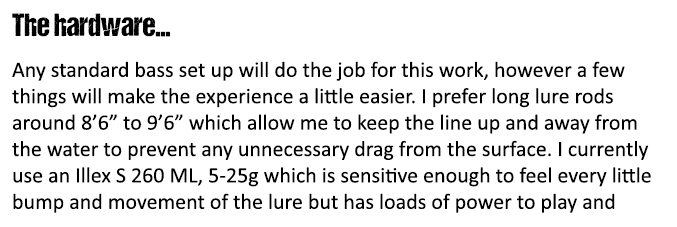 The hardware... Any standard bass set up will do the job for this work, however a few things will make the experience...