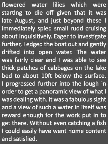flowered water lilies which were starting to die off given that it was late August, and just beyond these I immediate...