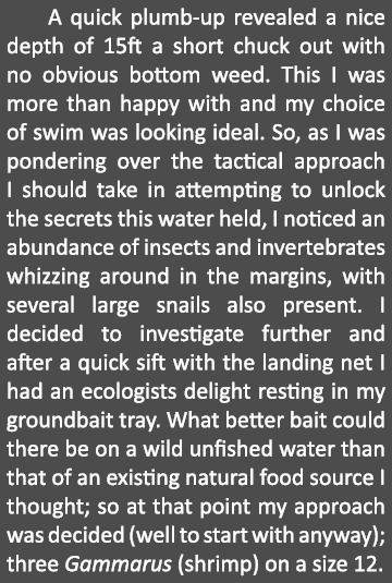    A quick plumb-up revealed a nice depth of 15ft a short chuck out with no obvious bottom weed. This I was more than...