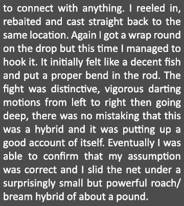 to connect with anything. I reeled in, rebaited and cast straight back to the same location. Again I got a wrap round...