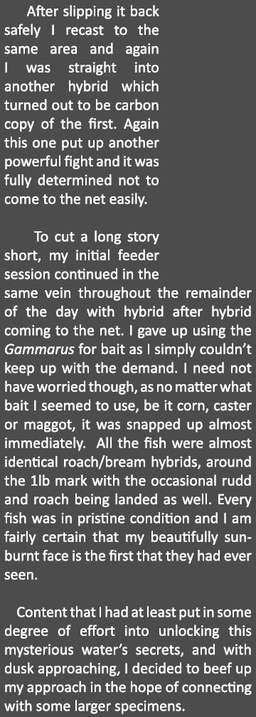    After slipping it back safely I recast to the same area and again I was straight into another hybrid which turned ...