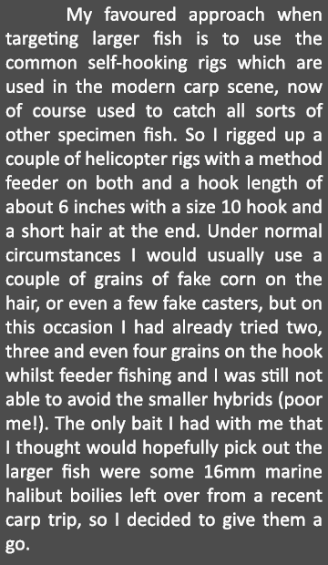    My favoured approach when targeting larger fish is to use the common self-hooking rigs which are used in the moder...