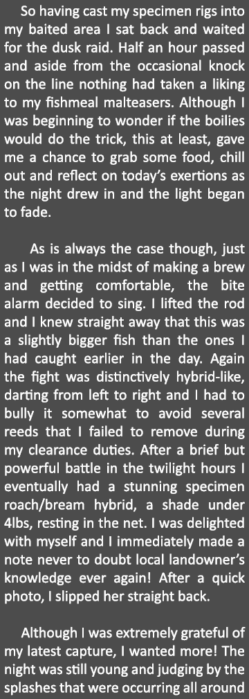    So having cast my specimen rigs into my baited area I sat back and waited for the dusk raid. Half an hour passed a...