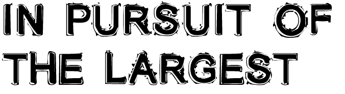 IN PURSUIT OF THE LARGEST