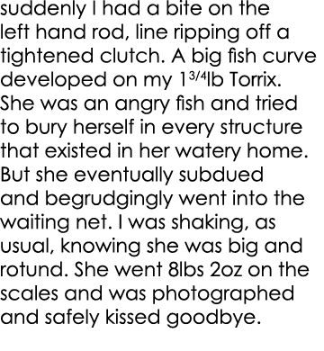 suddenly I had a bite on the left hand rod, line ripping off a tightened clutch. A big fish curve developed on my 13/...