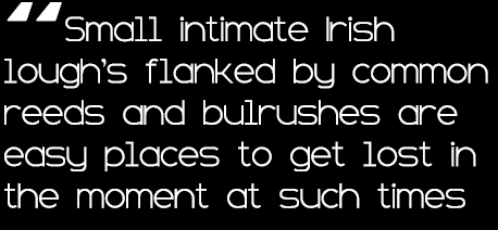 “Small intimate Irish lough’s flanked by common reeds and bulrushes are easy places to get lost in the moment at such...