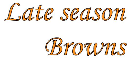 Late season Browns
