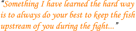 “Something I have learned the hard way is to always do your best to keep the fish upstream of you during the fight...”